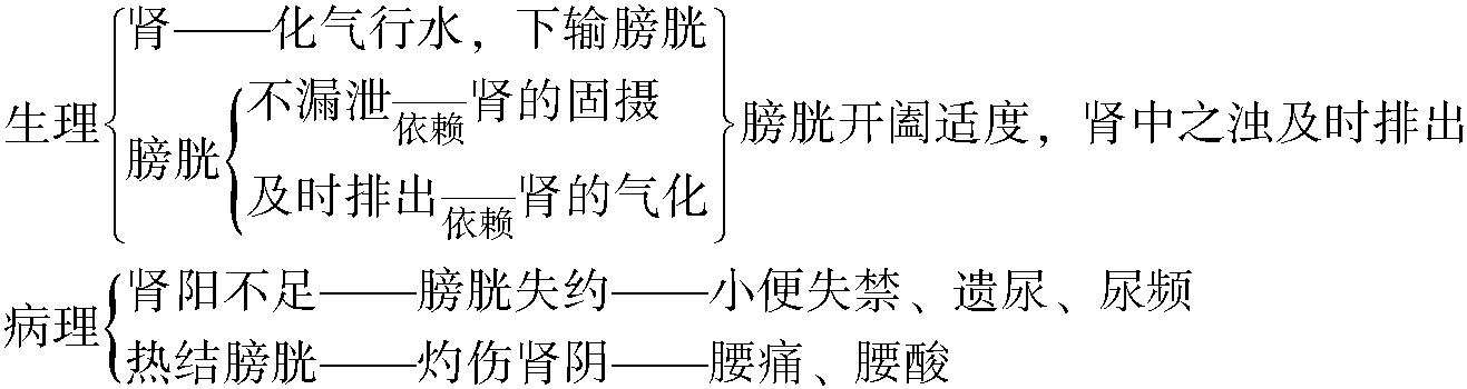 第八章 五臟與六腑之間的關(guān)系